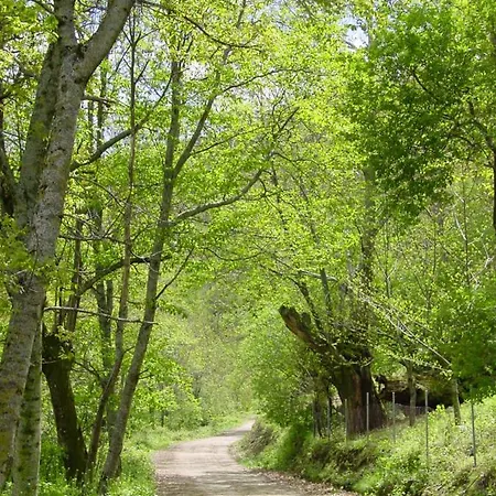 Casa Da Ponte بيت ضيافة