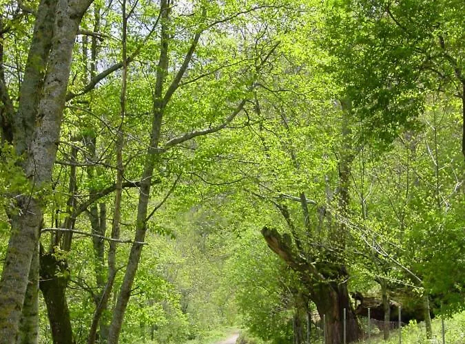 Casa Da Ponte Pensión